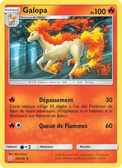 Galopa 24