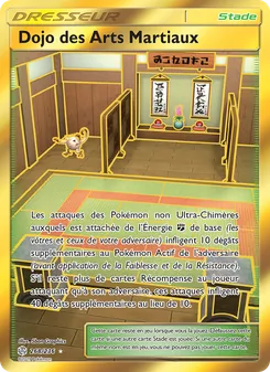 Dojo des Arts Martiaux 268