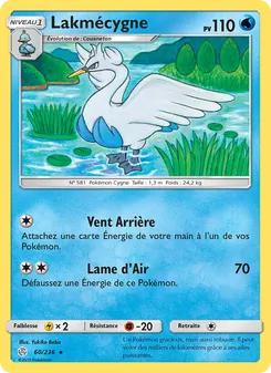 Lakmécygne 60