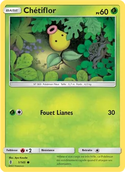 Chétiflor 1