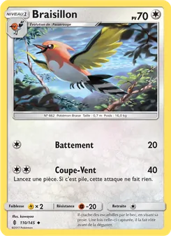 Braisillon 110