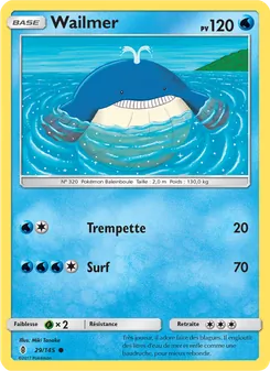 Wailmer 29