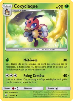 Coxyclaque 10