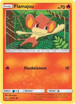 Flamajou 22