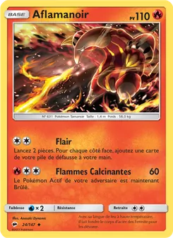 Aflamanoir 24