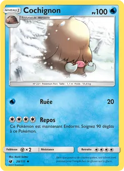 Cochignon 20