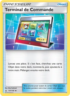 Terminal de Commande 131