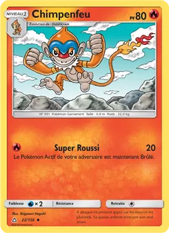 Chimpenfeu 22