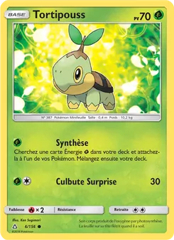 Tortipouss 6