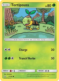 Tortipouss 7