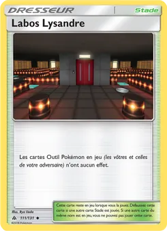 Labos Lysandre 111