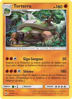 Torterra 58