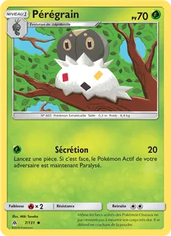 Pérégrain 7