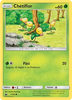 Chétiflor 1