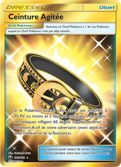 Ceinture Agitée 179