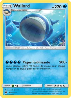 Wailord 40