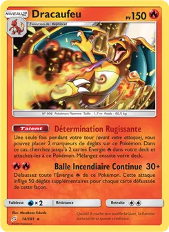 Dracaufeu 14