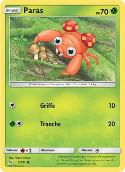 Paras 6
