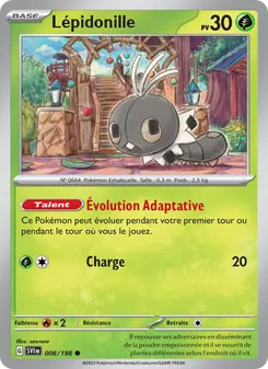 Lépidonille 8