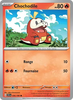 Chochodile 36