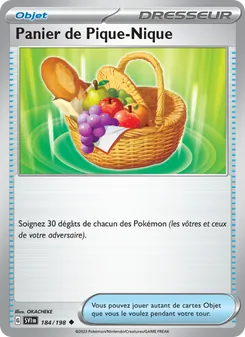 Panier de Pique-Nique 184