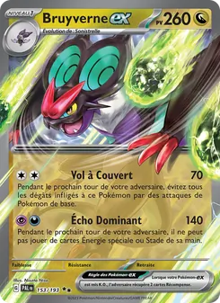 Bruyverne-ex 153