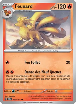 Feunard 29