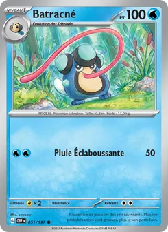 Batracné 51