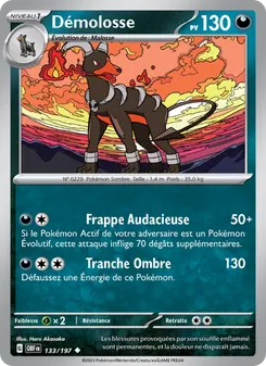 Démolosse 133