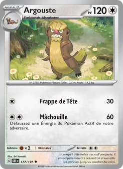 Argouste 177