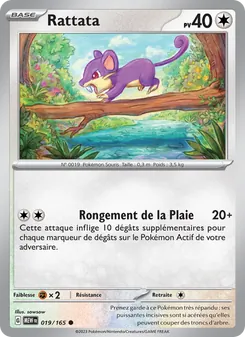 Rattata 19