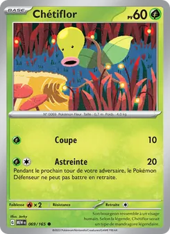 Chétiflor 69