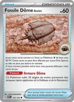 Fossile Dôme Ancien 152