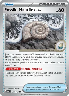 Fossile Nautile Ancien 153