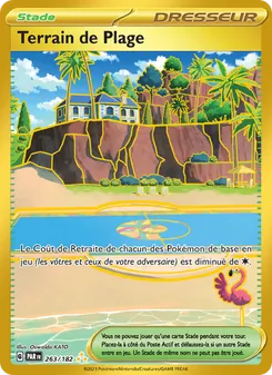 Terrain de Plage 263