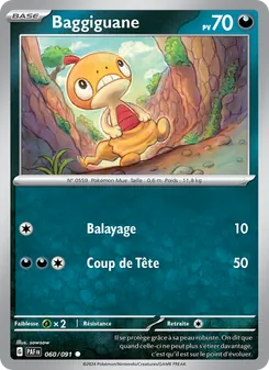 Baggiguane 60