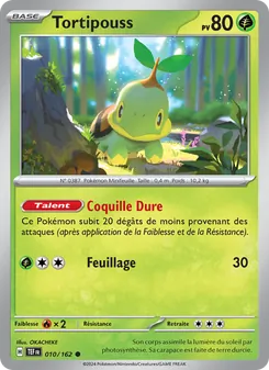 Tortipouss 10