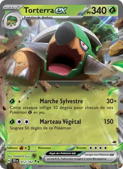 Torterra-ex 12