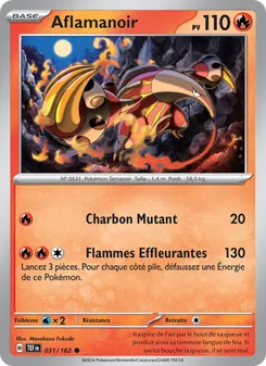 Aflamanoir 31