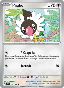Pijako 132
