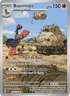 Bourrinos 175