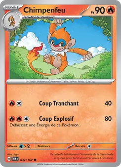 Chimpenfeu 32