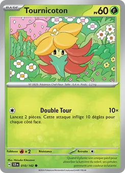 Tournicoton 10