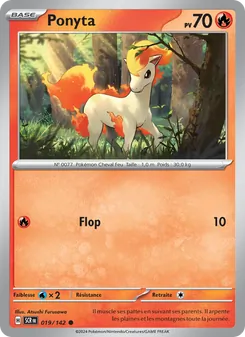 Ponyta 19