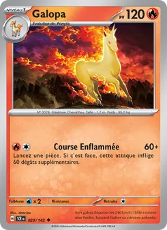 Galopa 20