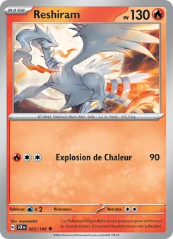 Reshiram 22