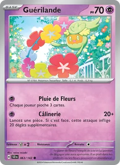 Guérilande 63