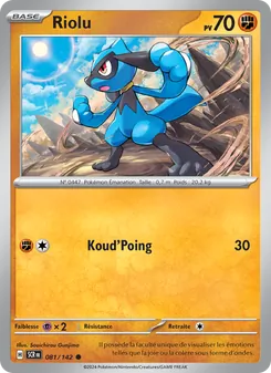 Riolu 81