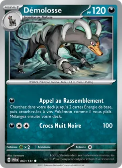 Démolosse 63