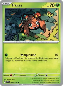 Paras 4